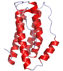 IL6 Crystal Structure Interleukin 6 et acupuncture