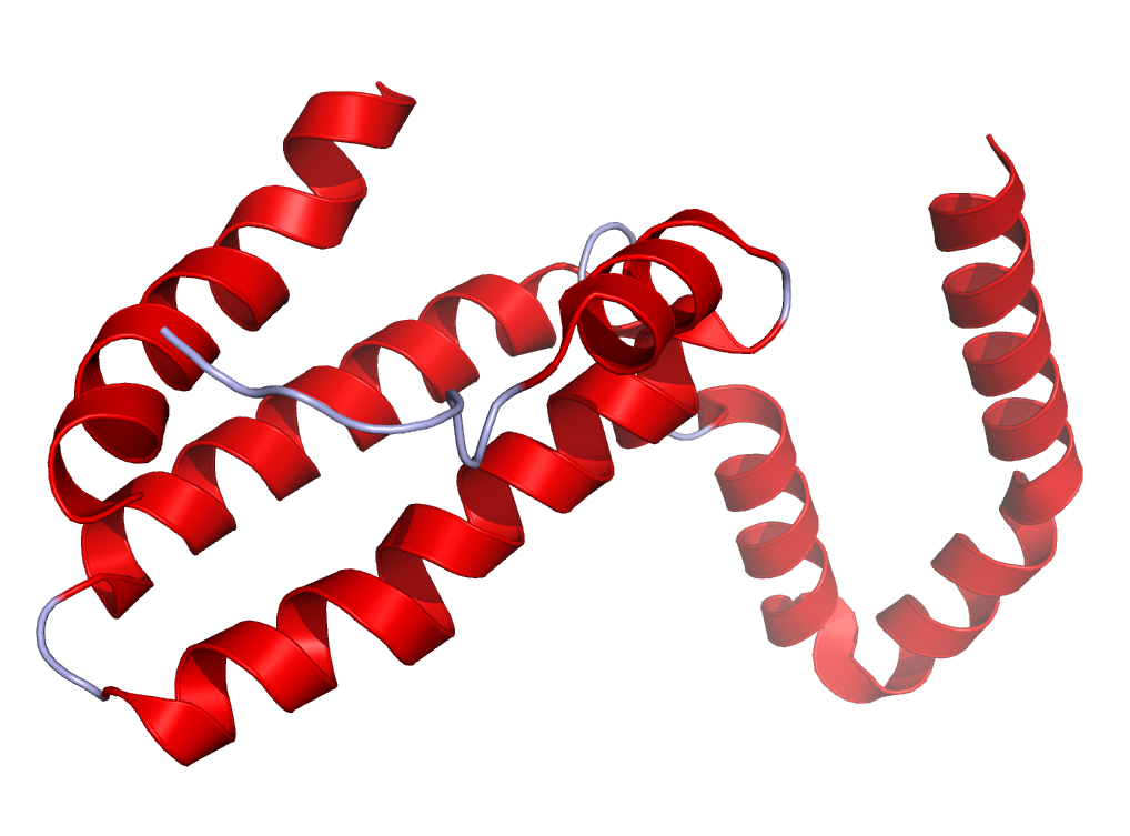 Interleukine 10 crystal structure et acupuncture