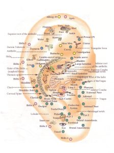 auriculotherapie anxiété auriculotherapy anxiety